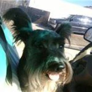 Meet your Posher, Evelynn